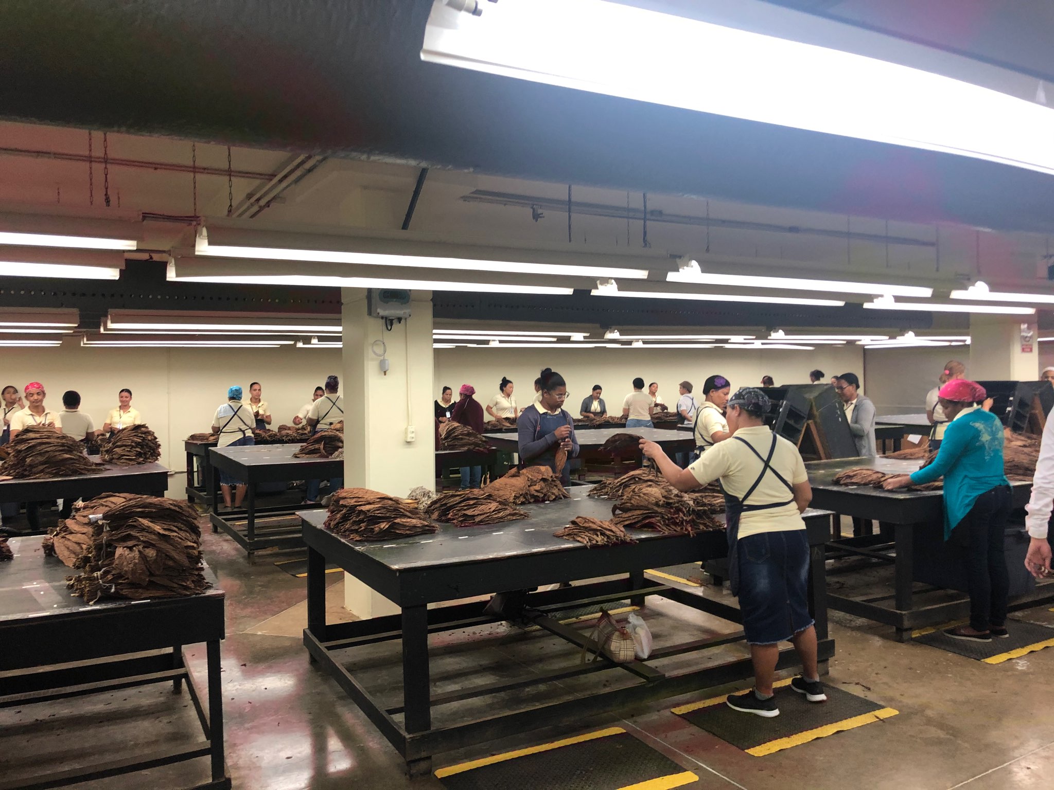 Georgina\'s trip to the Dominican Republic